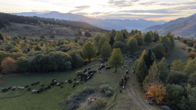 Karadeniz bölgesinde sonbahar ilk bu köye geliyor! Oluşan renk cümbüşü hayran bırakıyor - Resim: 2