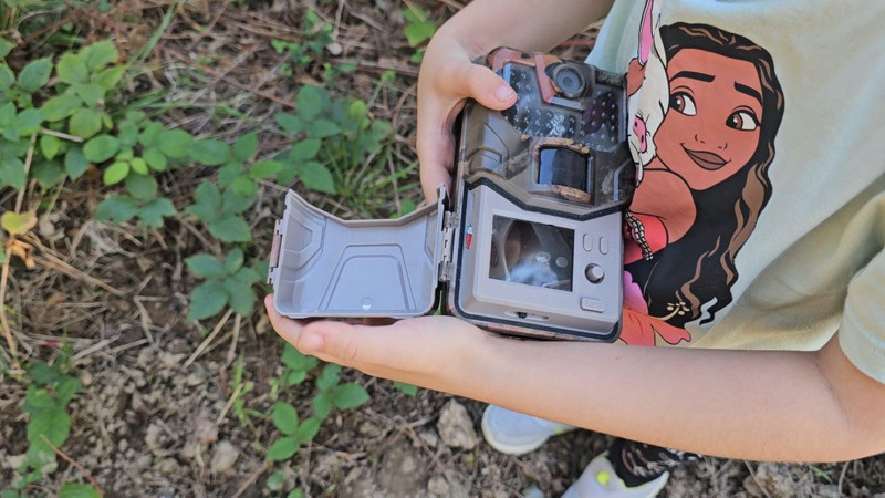 Minik kaşifin merakı, orman sakinlerini bir bir ortaya çıkardı. Birçok hayvan o kapanla yakalandı - Resim: 4