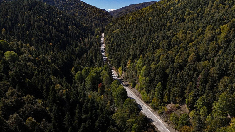 Bolu’nun incisi Abant Gölü’nde renk cümbüşü hakim oldu. Gökyüzünden çekilen görüntüler görenleri büyüledi - Resim: 4