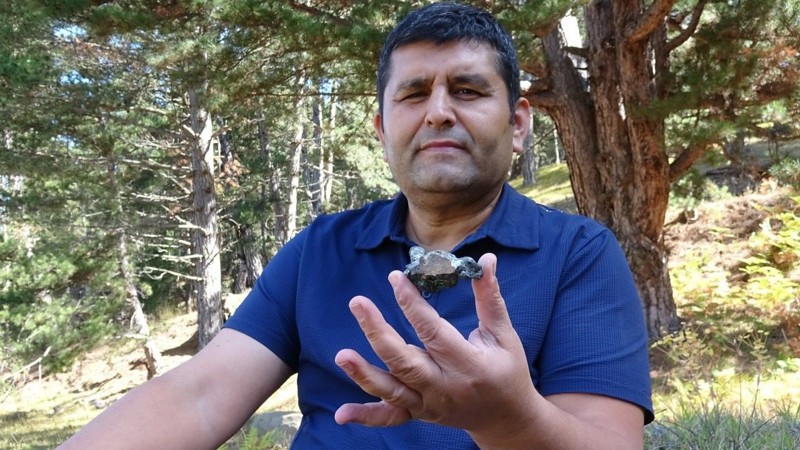 Karabük'te mantar toplamak için ormana giden vatandaş toprakta bir anda onu gördü. 250 gram ağırlığındaydı - Resim: 2