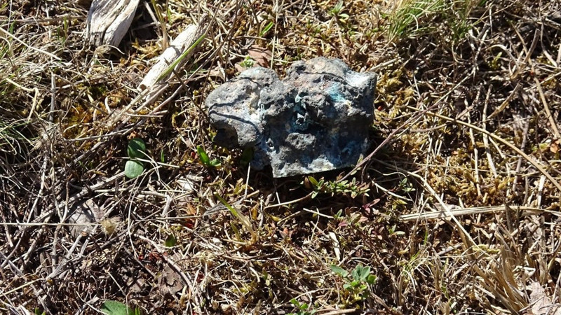 Karabük'te mantar toplamak için ormana giden vatandaş toprakta bir anda onu gördü. 250 gram ağırlığındaydı - Resim: 3