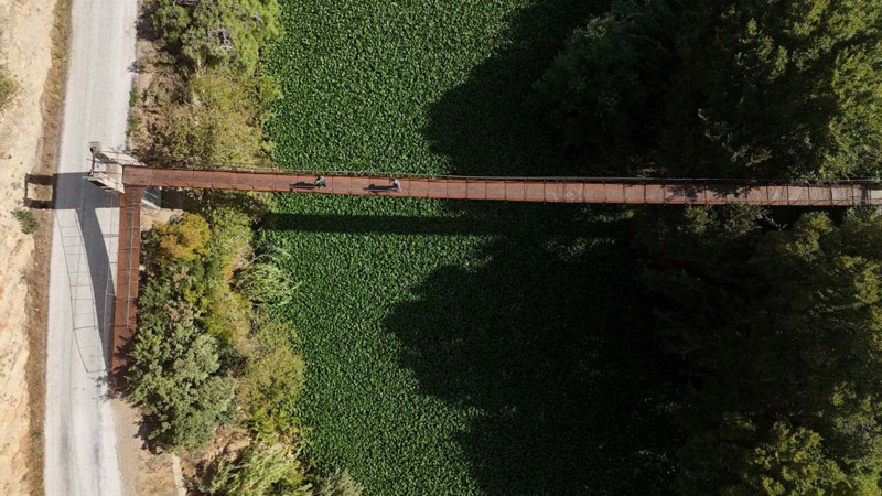 Hatay’da Asi Nehri'ni istila etti! yeşil manzara görenleri şaşkına çevirdi - Resim: 2