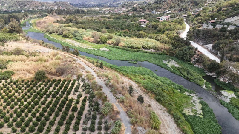 Hatay’da Asi Nehri'ni istila etti! yeşil manzara görenleri şaşkına çevirdi - Resim: 6