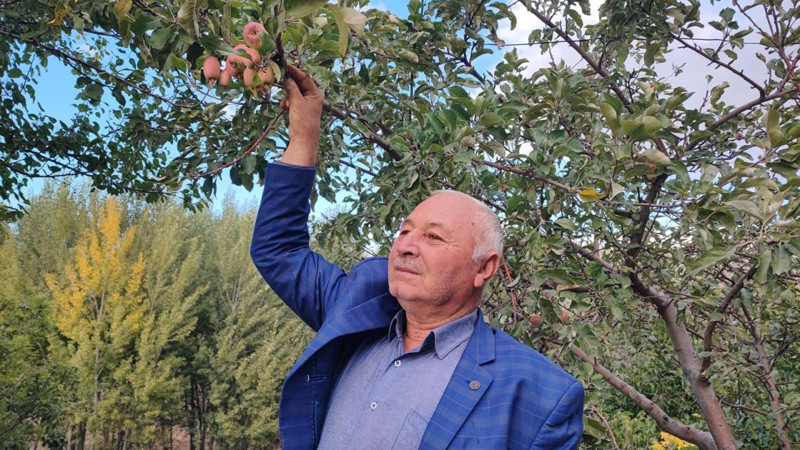 Yozgat’ta doğa tersine döndü! 60 yıllık çiftçi: "İlk kez böyle bir şey görüyorum" - Resim: 2