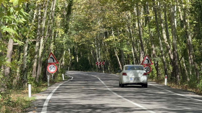 Bartın-Karabük yolunda sonbahar mucizesi: ağaçlar tünel oluşturdu manzara nefes kesti - Resim: 7
