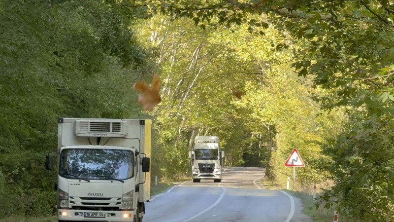 Bartın-Karabük yolunda sonbahar mucizesi: ağaçlar tünel oluşturdu manzara nefes kesti - Resim: 4