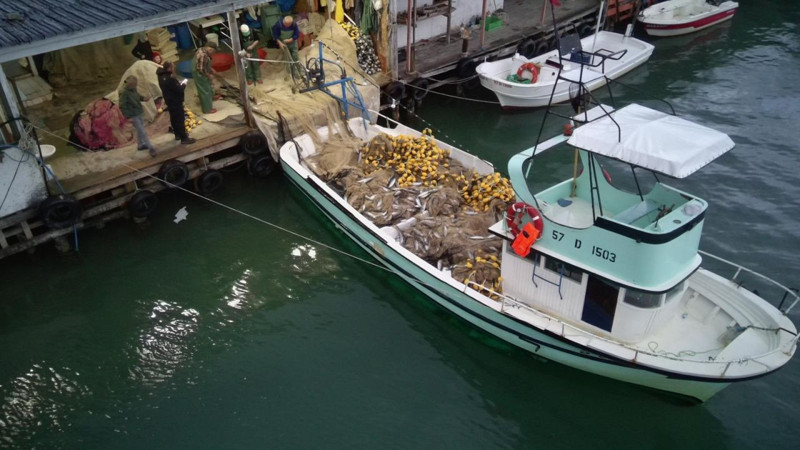 Sinop'ta tek gecede 1000'lerce canlı yakalandı! Liman dolup taştı - Resim: 2