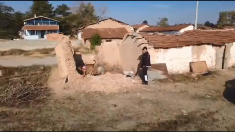 Kayıp olarak aranıyordu! Sır perdesi 14 yıl sonra aralandı: Evin altından çıkan detay tüyleri ürpertti! - Resim: 4