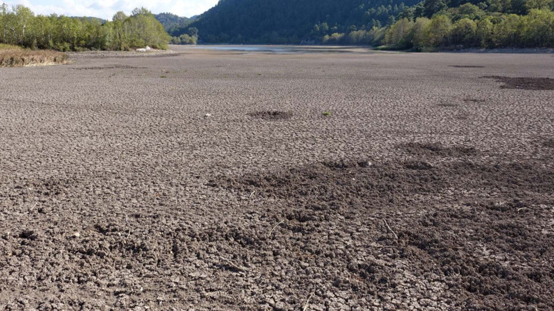 Türkiye’nin dördüncü büyük gölünden endişelendiren manzara! Göl ikiye bölündü, artık hayvanlar otlamaya başladı - Resim: 6