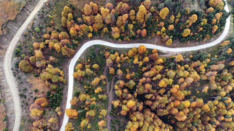 Bolu’ya sonbahar geldi, Yedigöller tabloya döndü! Dronla kaydedilen manzara mest etti - Resim: 2