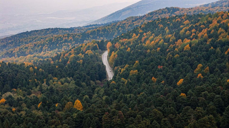 Gölcük Tabiat Parkı’nda sonbahar renkleri mest etti! Ziyaretçiler akın etti, manzara kartpostalları aratmadı - Resim: 3