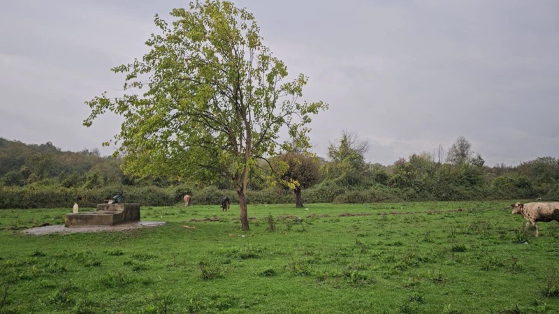 Zonguldak'ta sır perdesi! Su kuyusundan kadın cesedi çıktı - Resim: 4