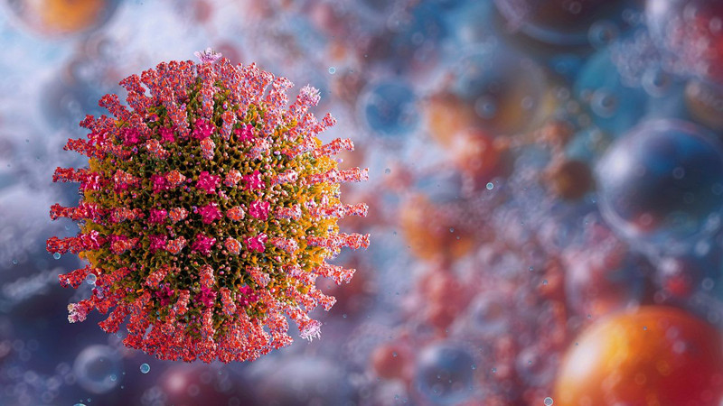 'Rift Vadisi Ateşi' salgınında bilanço arttı! Ölü sayısı 25'e yükseldi - Resim: 4