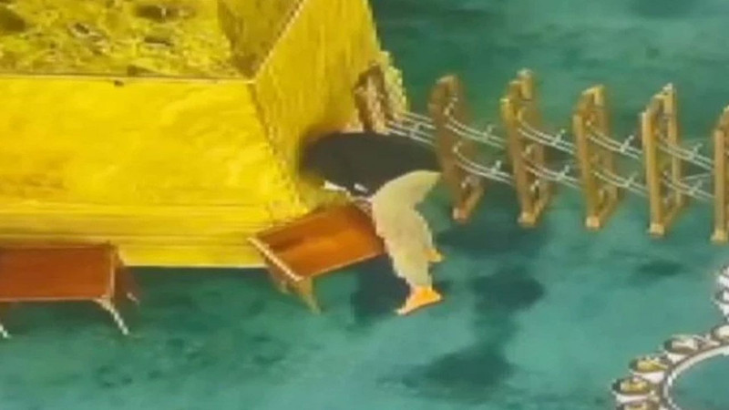 Ayasofya Camii'ni yakmaya çalışmıştı! İfadesi herkesi şok etti - Resim: 1