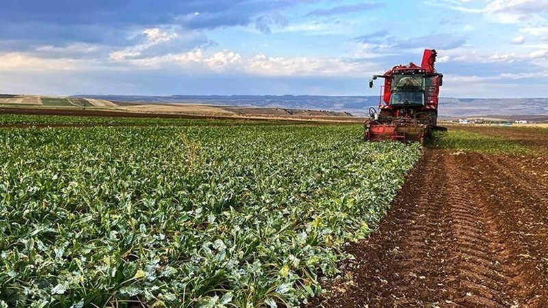 Bakan Yumaklı’dan çiftçilere sevindiren haber! Ödemeler bugün başlıyor - Resim: 1