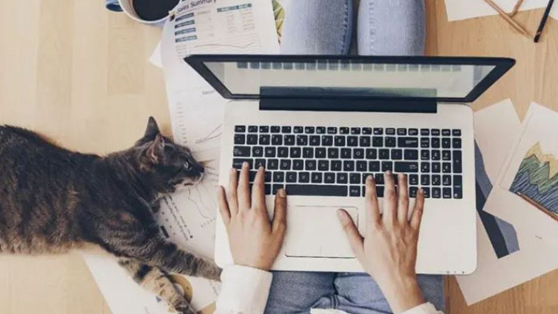 Evini ofis olarak gösterenler dikkat! Mahkemeden emsal olacak vergi kararı - Resim: 4