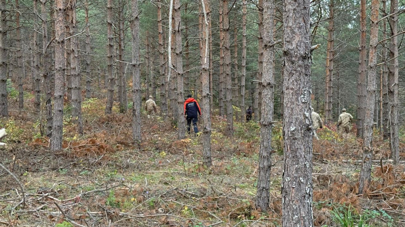 Anne ve oğlundan günlerdir iz yok! Yeni detaylar ortaya çıktı - Resim: 1