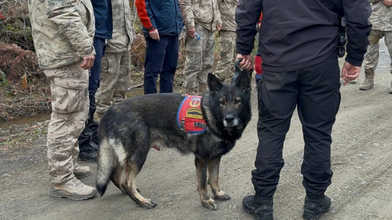 Anne ve oğlundan günlerdir iz yok! Yeni detaylar ortaya çıktı - Resim: 10