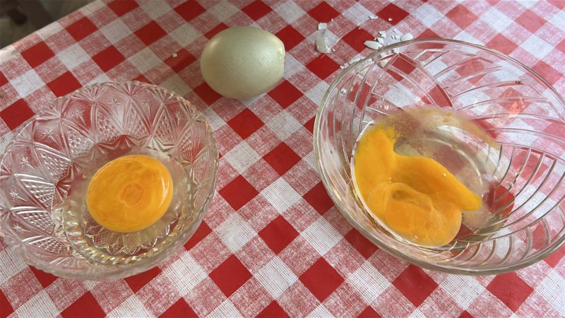 Hatay'da kümese giren kadın 100 tavuk arasında sadece 2'sinde gördü! Altlarına bakınca şaşkına döndü - Resim: 4