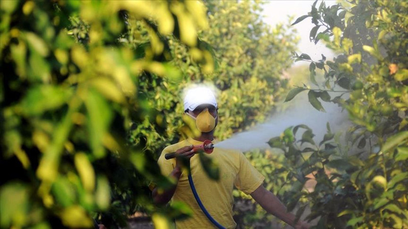 Böcek ilaçlarının satışında yeni düzenleme! Bakanlık konuya el attı - Resim: 3