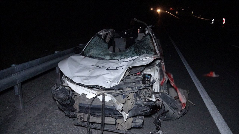 Malatya'da feci olay! Milyonluk yarış tayları çiftlikten kaçtı: 8'i öldü, bazıları kayıp - Resim: 4