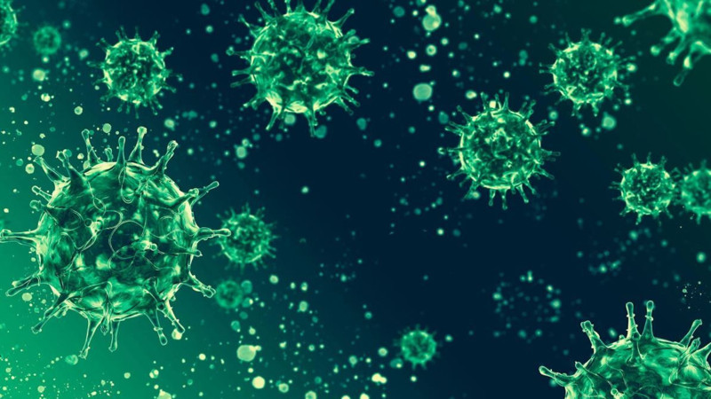 Ölüm oranı yüzde 70’e kadar çıkıyor! Türkiye güvende mi? Soğuk algınlığı gibi başlıyor, bu belirtilere dikkat! - Resim: 3