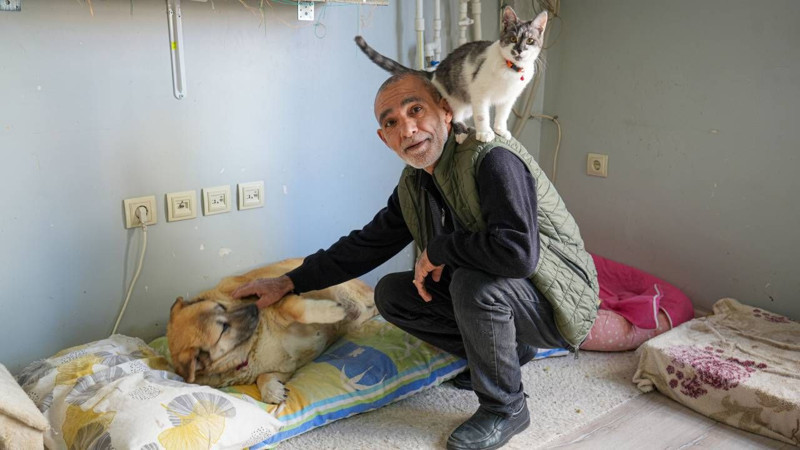 Obez köpek "Kız" için yürümek bile zor! Geçirdiği kaza sonrası hareketsiz kalınca kilo aldı - Resim: 2