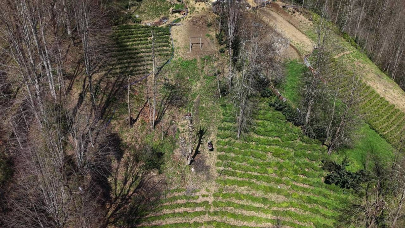 Rize’de 82 yaşındaki kadının "Ölüm hattı": Evine teleferikle inip çıkıyor - Resim: 3