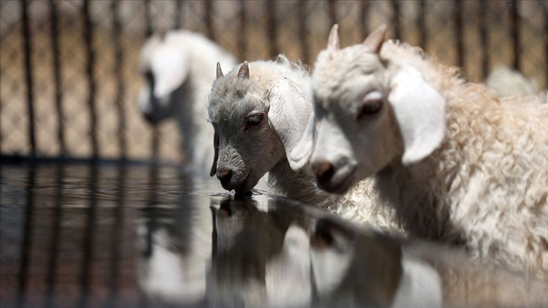 85 milyon haberdar olmalı! 17 bin TL’ye de var 325 bin TL’ye de! - Resim: 2