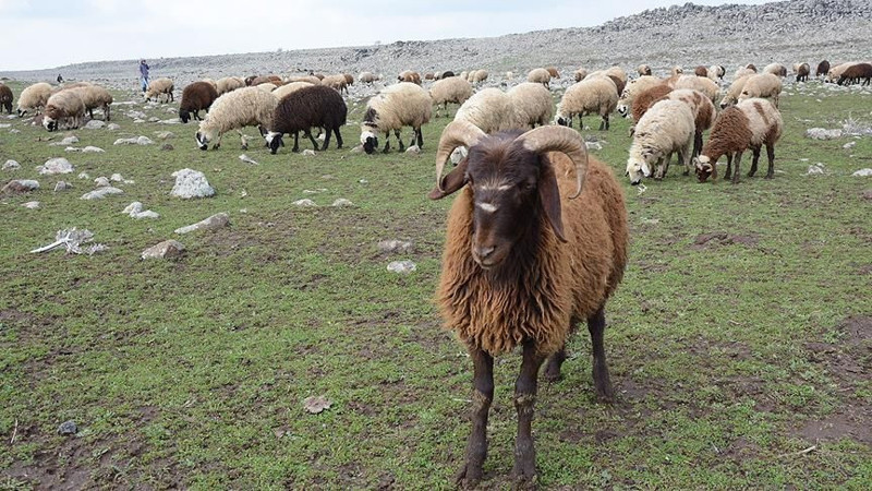 85 milyon haberdar olmalı! 17 bin TL’ye de var 325 bin TL’ye de! - Resim: 6