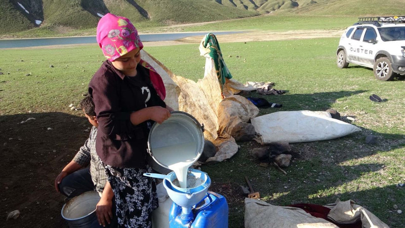 Bitlis'e bir anda 1500'lerce koyun akın etti! 5 ay detayı herkesin dikkatini çekti - Resim: 6