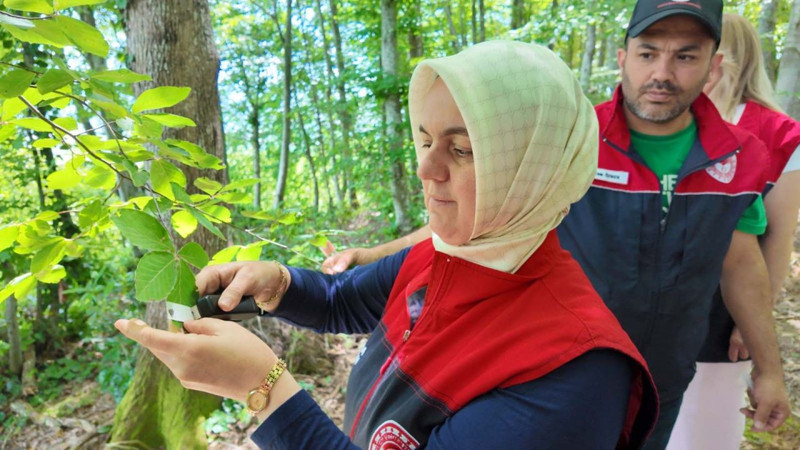 Karadeniz'de çok önemli gelişme! 129.000 tanesi doğaya bırakıldı - Resim: 3