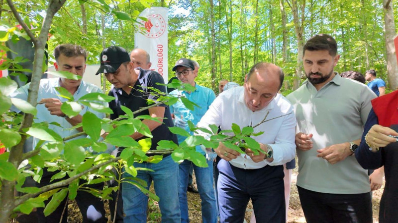 Karadeniz'de çok önemli gelişme! 129.000 tanesi doğaya bırakıldı - Resim: 4
