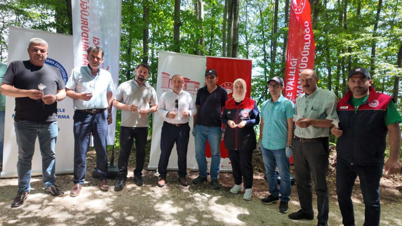 Karadeniz'de çok önemli gelişme! 129.000 tanesi doğaya bırakıldı - Resim: 6