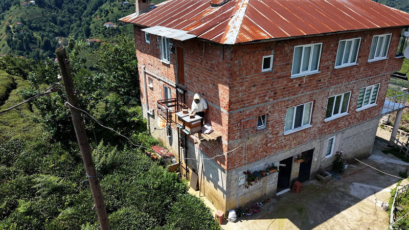 Asansörlü önlem! Ayıya 'ayı dayı' ismini verdiler: Öğrenirse sıkıntı - Resim: 5