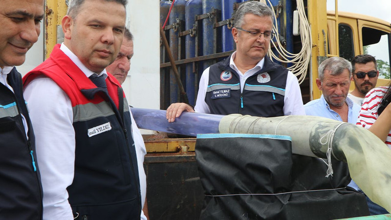 Nesilleri tehlikede! Yeşilırmağa can suyu: 30 bin tanesi nehre salındı - Resim: 9