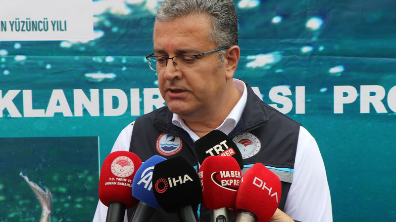 Nesilleri tehlikede! Yeşilırmağa can suyu: 30 bin tanesi nehre salındı - Resim: 6
