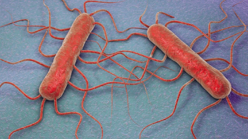 Peynirde Listeria alarmı: Buzdolabında bile çoğalabiliyor! Uzmanlardan tek tek anlattı - Resim: 1