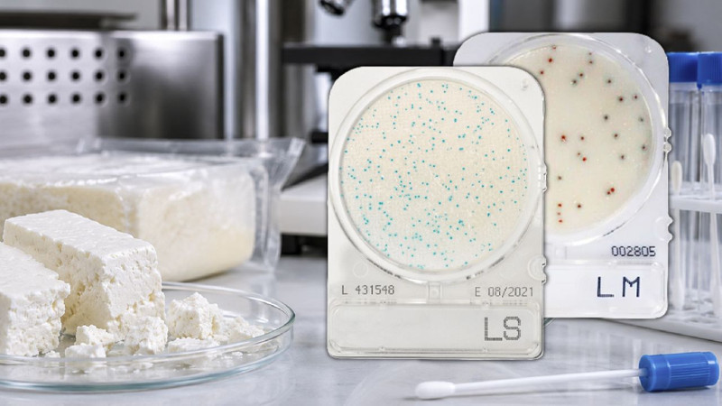 Peynirde Listeria alarmı: Buzdolabında bile çoğalabiliyor! Uzmanlardan tek tek anlattı - Resim: 10