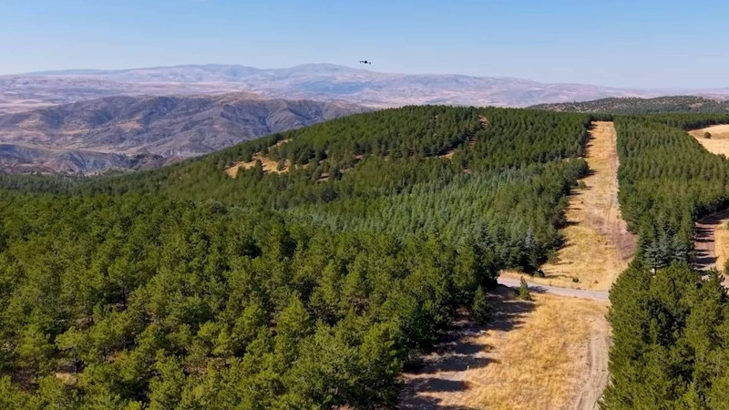 Yeşil vatana komando kalkanı! Komandolar ve dronlar sahada - Resim: 6