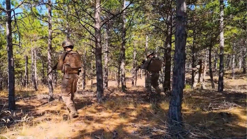 Yeşil vatana komando kalkanı! Komandolar ve dronlar sahada - Resim: 1