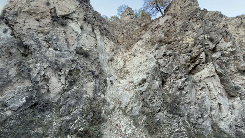 Tunceli'de dağda artık ondan 1 tane görmek bile mucize! Bir anda yerinden fırladı - Resim: 4