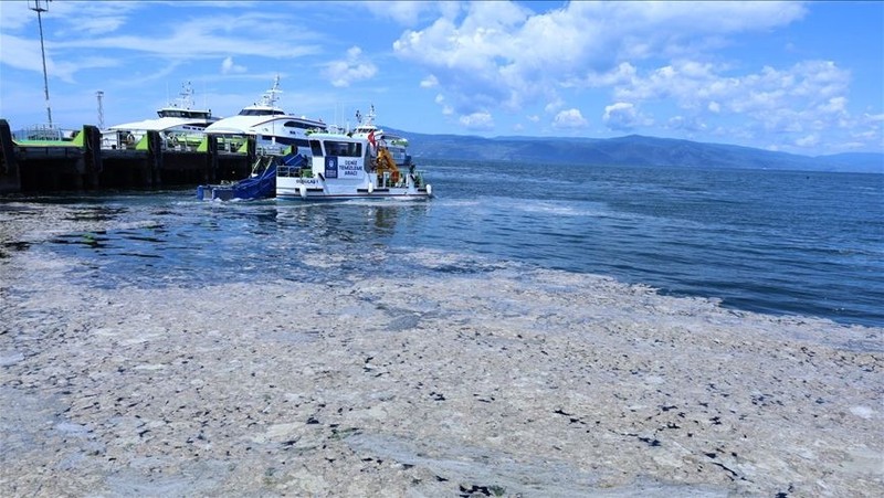 Kabus tüm hızıyla yayılıyor: 7 haftada Marmara'yı örümcek ağı gibi sardı, sırada Ege var! - Resim: 2