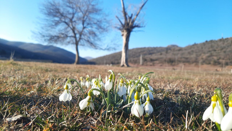 Konya'da her yıl kendisine hayran bırakan manzara, bu yıl endişelendirdi. Onları, kimse bu kadar erken beklemiyordu - Resim: 2
