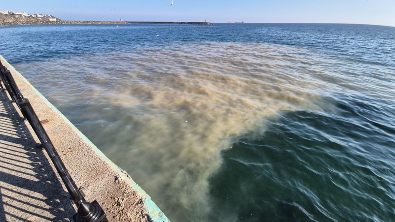 Tekirdağ'da sahile gelip denize bakan korkunç manzarayı gördü. Vatandaşlar denizin değişen rengini hayretle izledi - Resim: 3