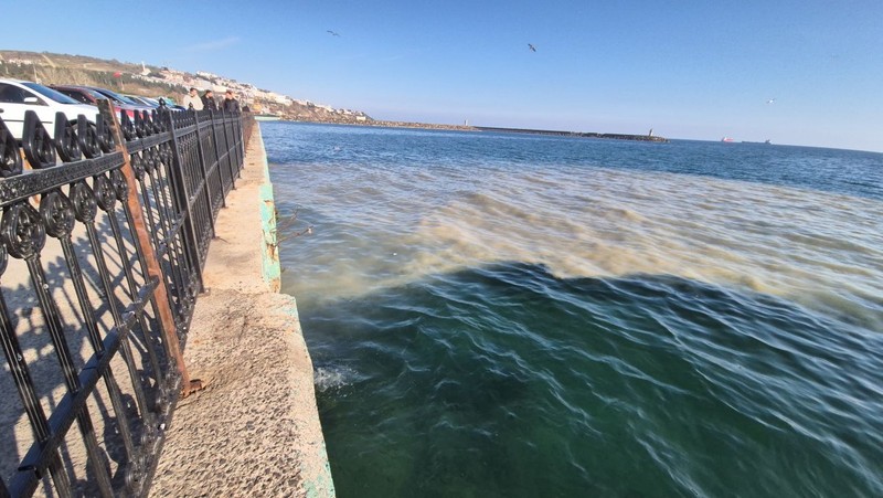 Tekirdağ'da sahile gelip denize bakan korkunç manzarayı gördü. Vatandaşlar denizin değişen rengini hayretle izledi - Resim: 4