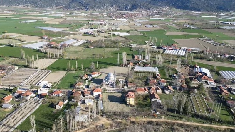 Antalya'dan 1000'lercesi patır patır Türkiye'ye giriş yaptı. Aralarından 1 tane hayvan yine aynı hareketi yapınca cemaat dikkat kesildi - Resim: 1