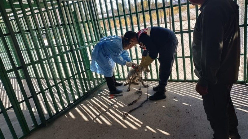 Van’da evin önüne zincirle bağlandı, görüntüler infial yarattı! Dakikalar içinde ekipler harekete geçti - Resim: 2