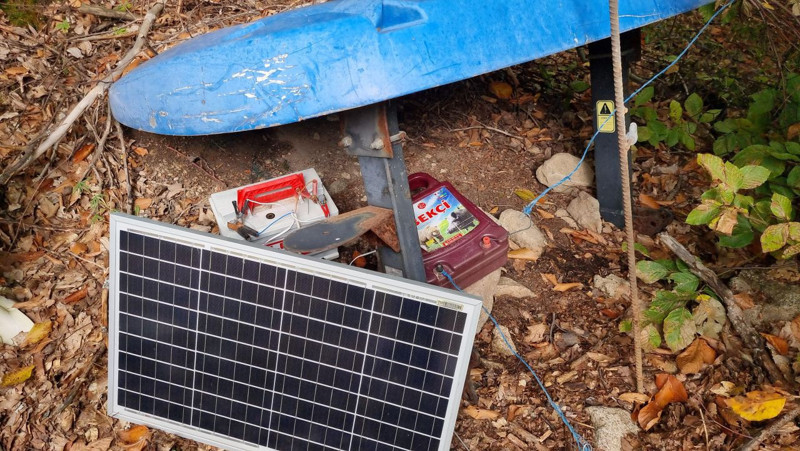 Kütahya’da üretici ilk hasada gitti, karşısında onları buldu! 3 yıllık emeği dakikalar içinde yok oldu - Resim: 2