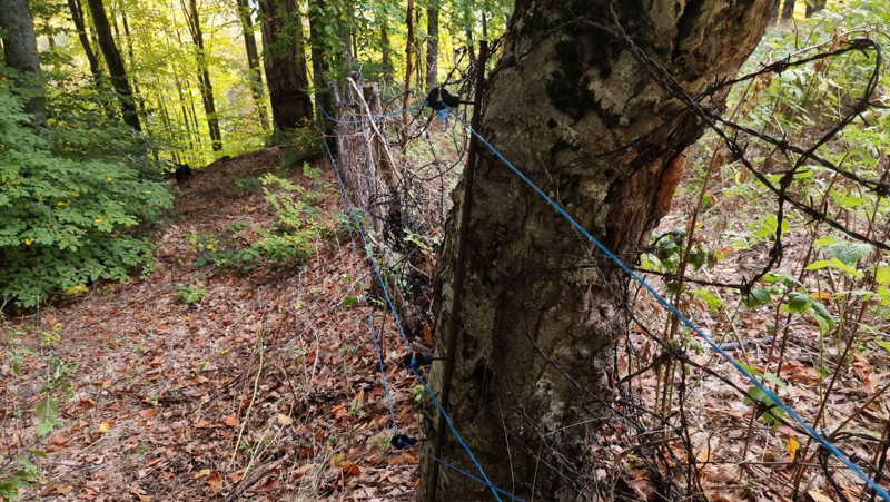 Kütahya’da üretici ilk hasada gitti, karşısında onları buldu! 3 yıllık emeği dakikalar içinde yok oldu - Resim: 1